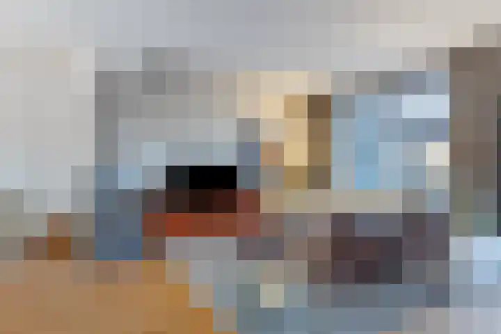 De Vroente 99 Nuenen thumbnail 5