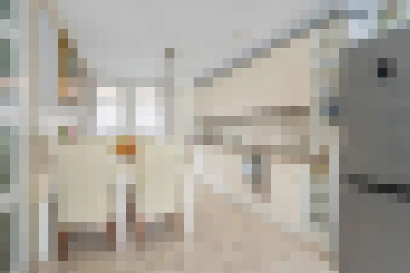 De Vroomedijk 26 Den Haag thumbnail 12