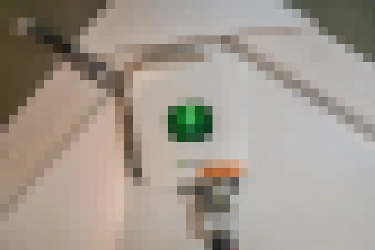 De Vroomedijk 26 Den Haag thumbnail 22