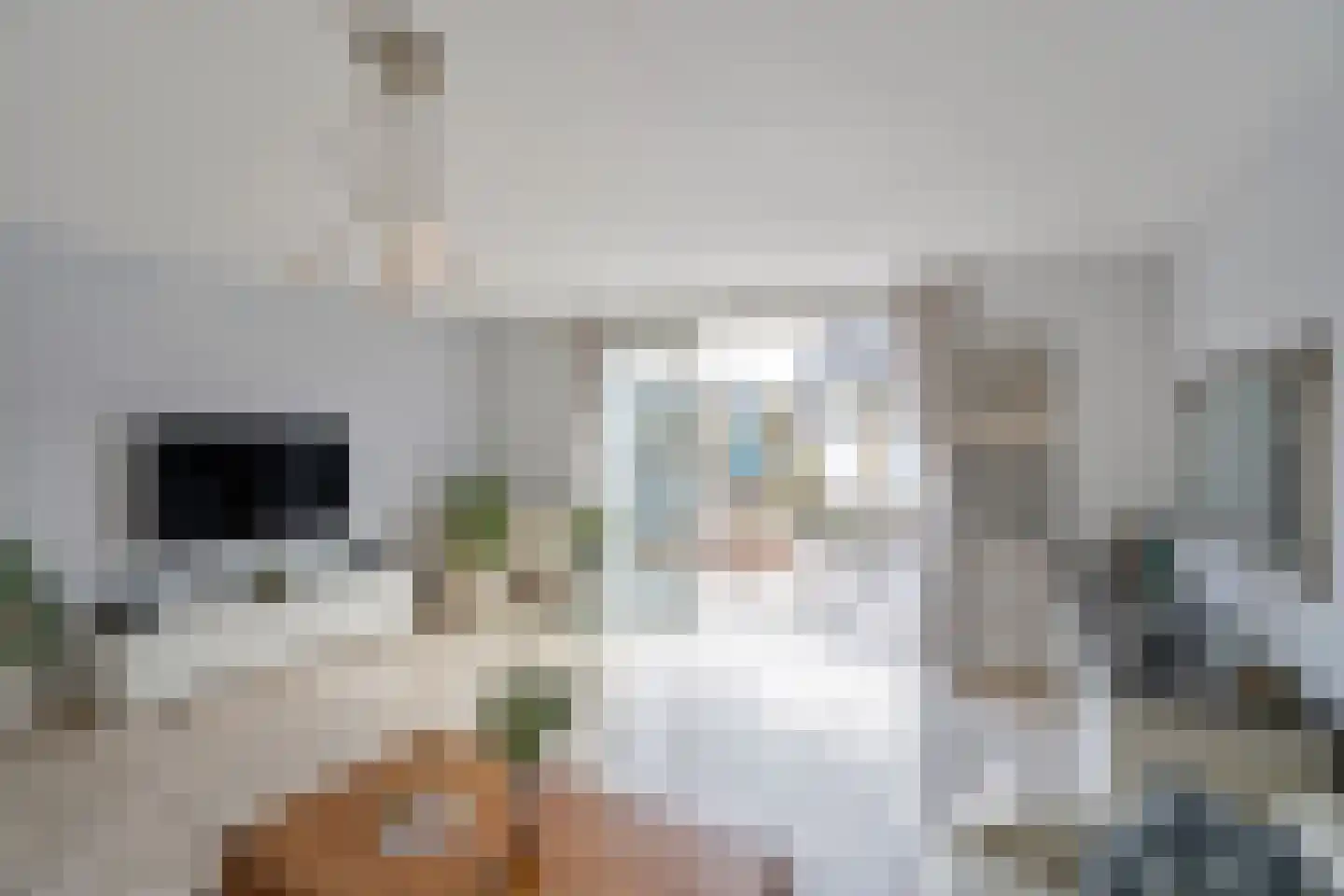 De Vroomedijk 26 Den Haag thumbnail 8