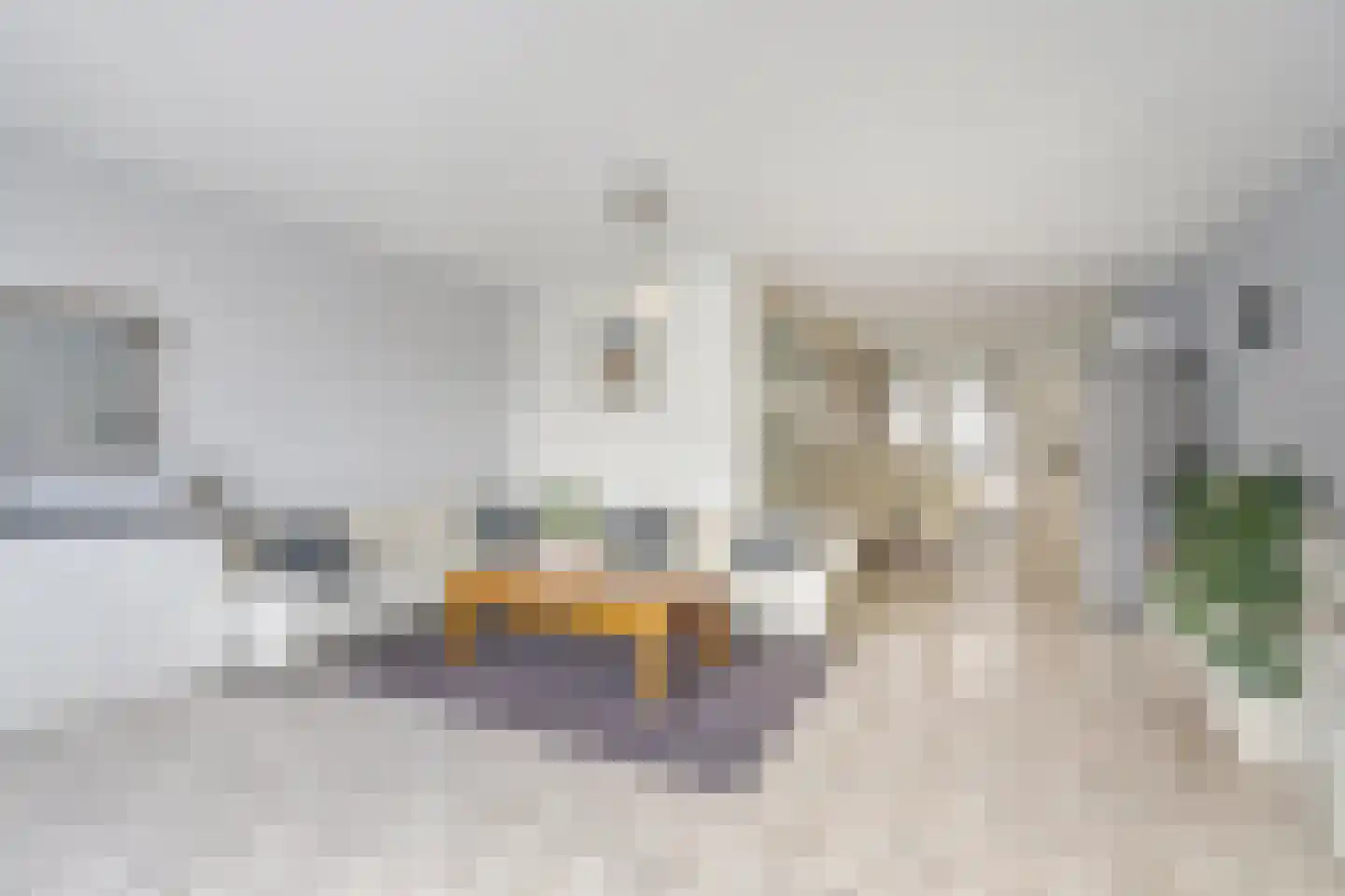 De Vroomedijk 26 Den Haag thumbnail 9