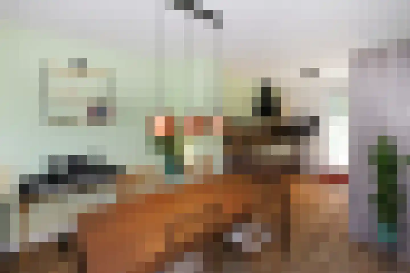 De Vroomedijk 69 Den Haag thumbnail 14
