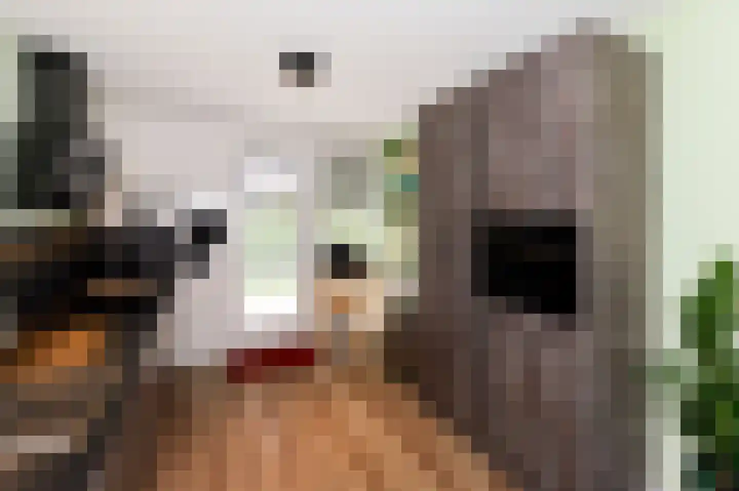 De Vroomedijk 69 Den Haag thumbnail 15