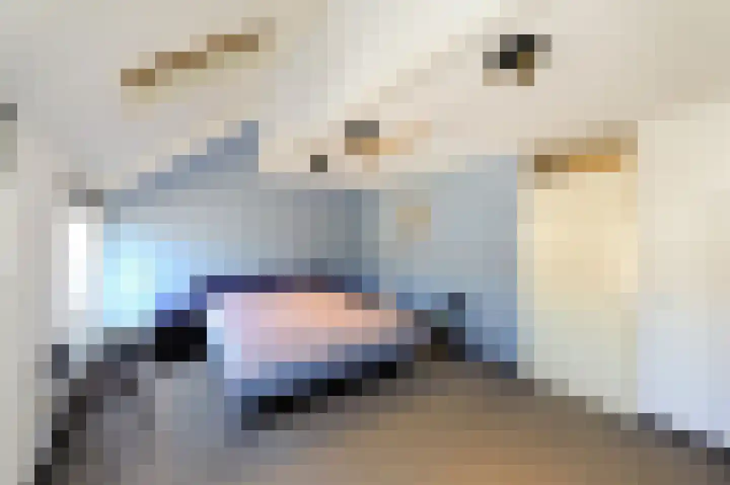 De Vroomedijk 69 Den Haag thumbnail 30