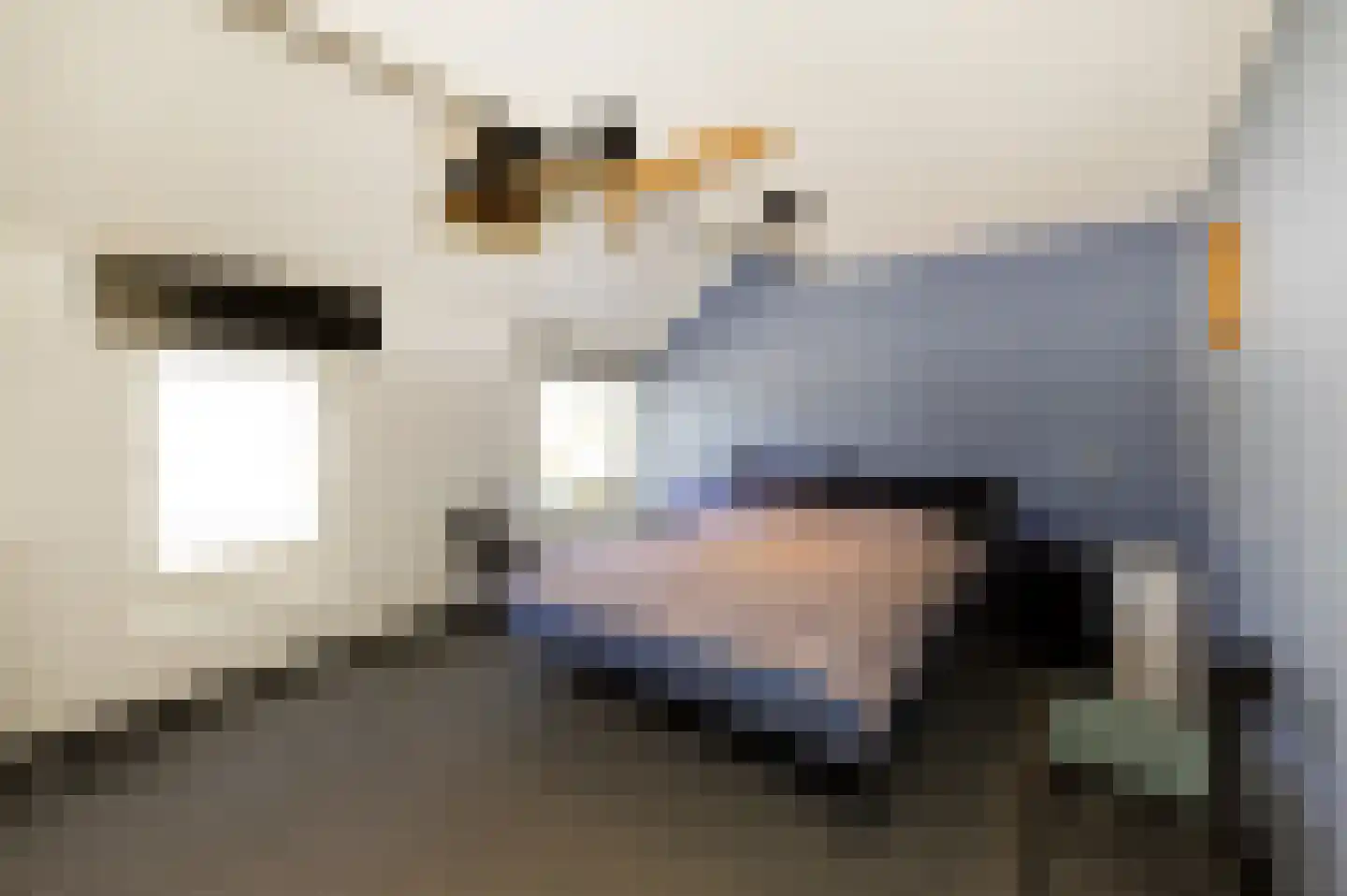De Vroomedijk 69 Den Haag thumbnail 31