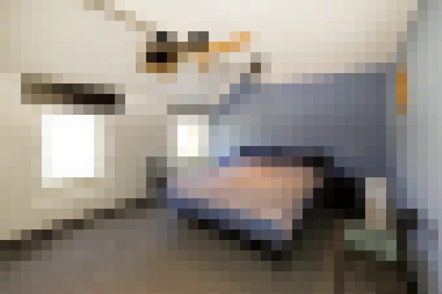 De Vroomedijk 69 Den Haag thumbnail 32