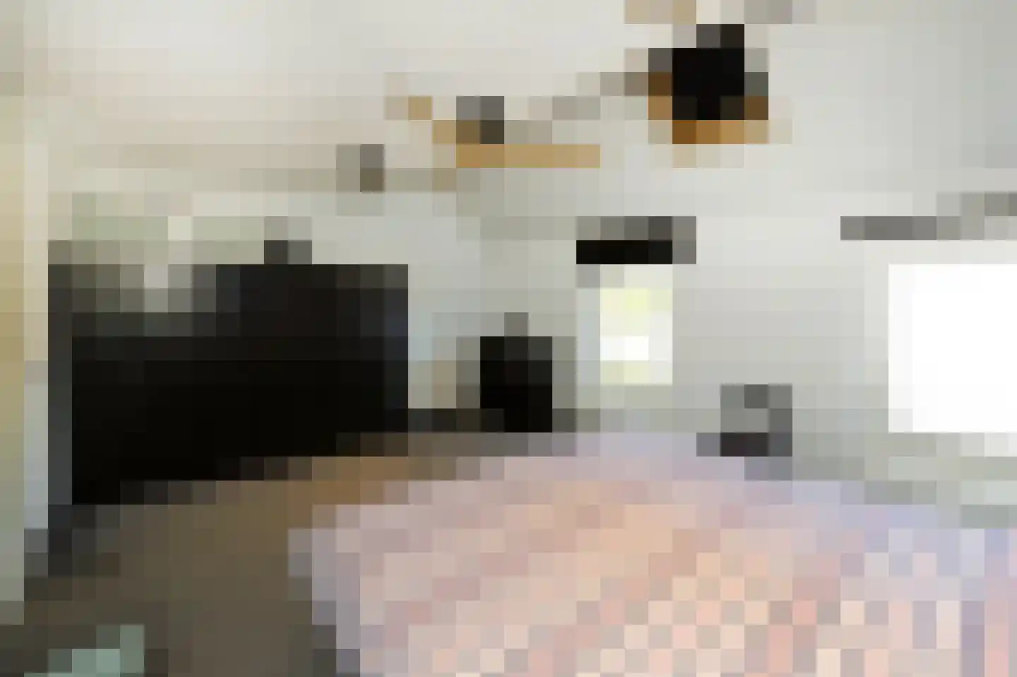 De Vroomedijk 69 Den Haag thumbnail 33