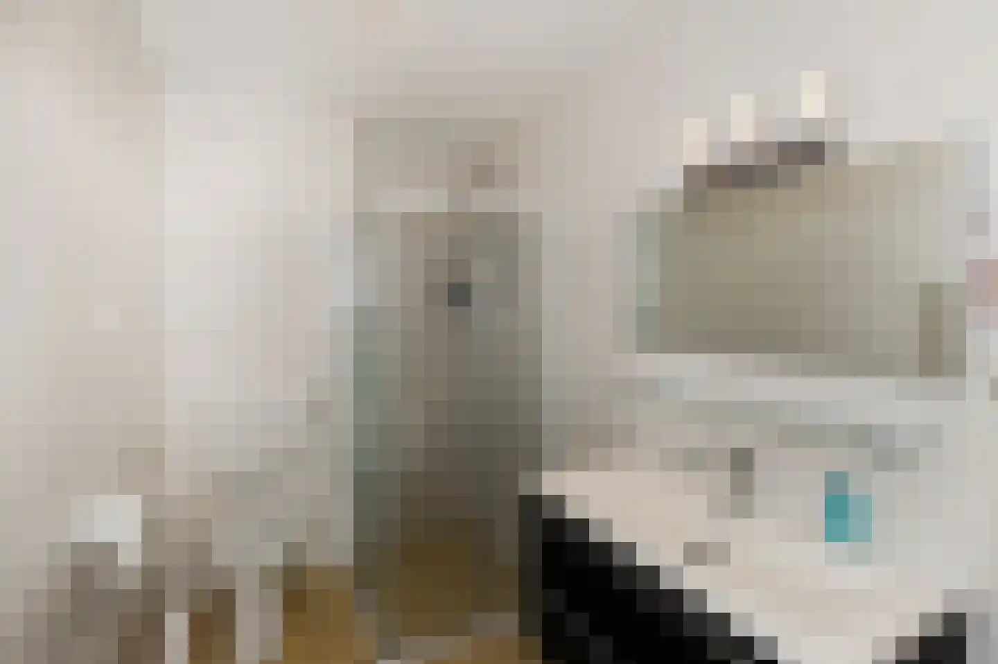 De Vroomedijk 69 Den Haag thumbnail 37