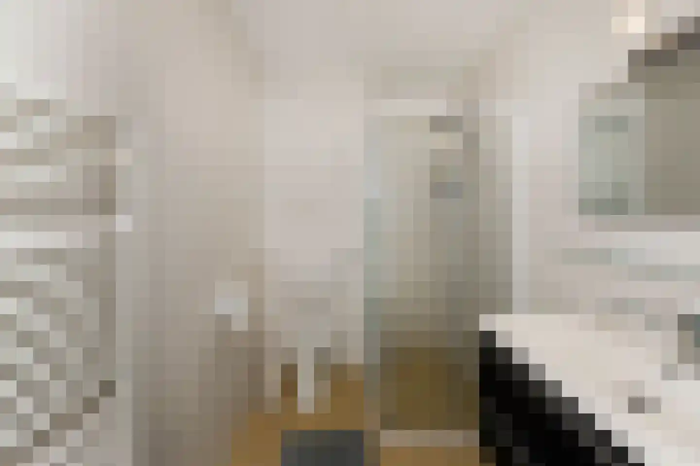 De Vroomedijk 69 Den Haag thumbnail 38