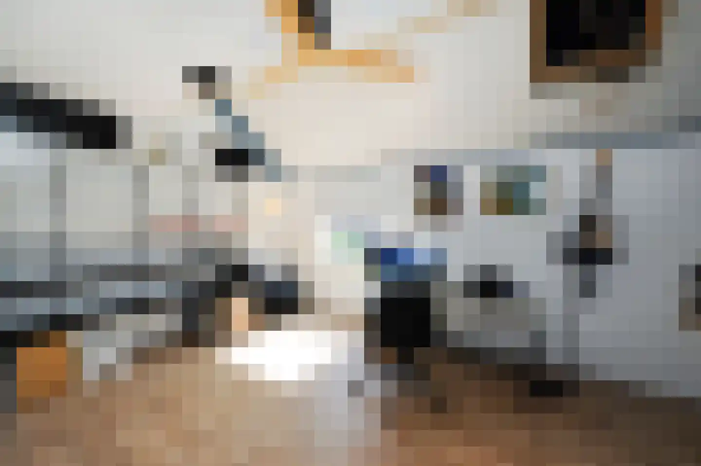 De Vroomedijk 69 Den Haag thumbnail 39
