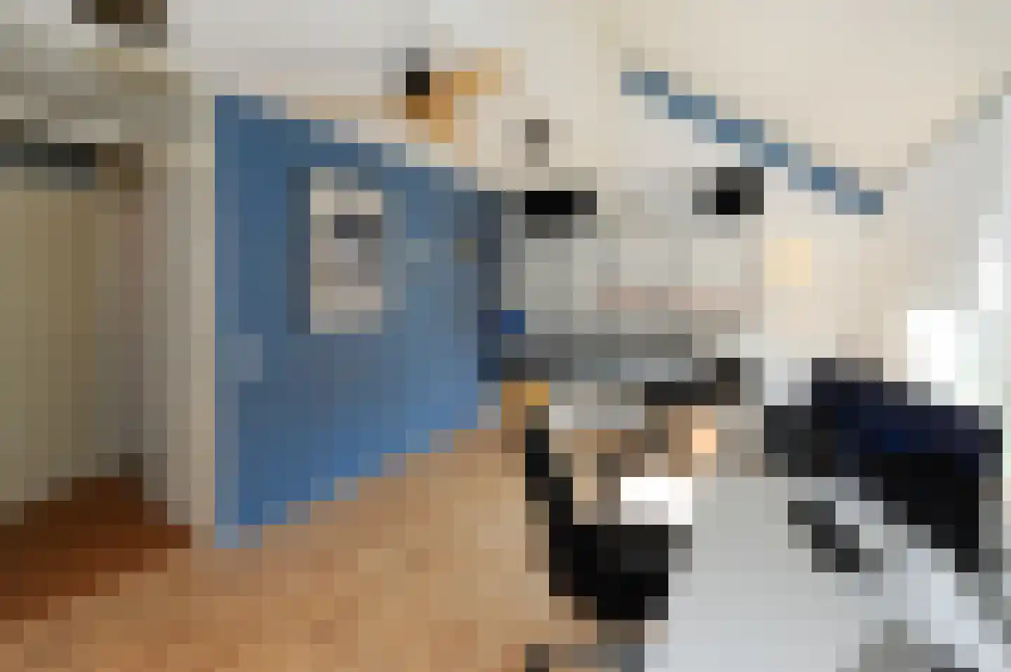 De Vroomedijk 69 Den Haag thumbnail 40