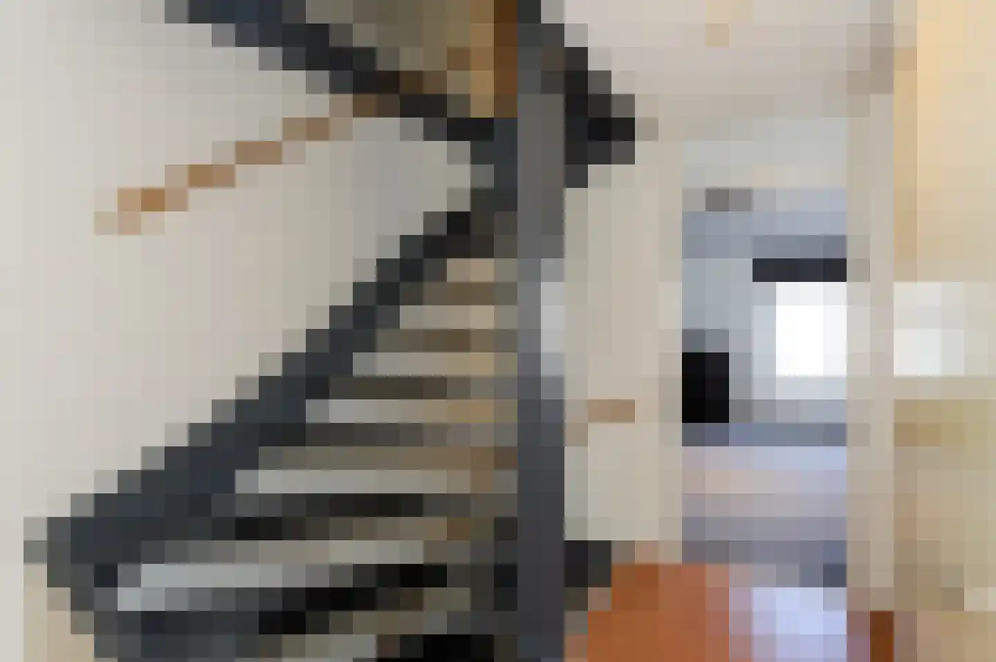De Vroomedijk 69 Den Haag thumbnail 43