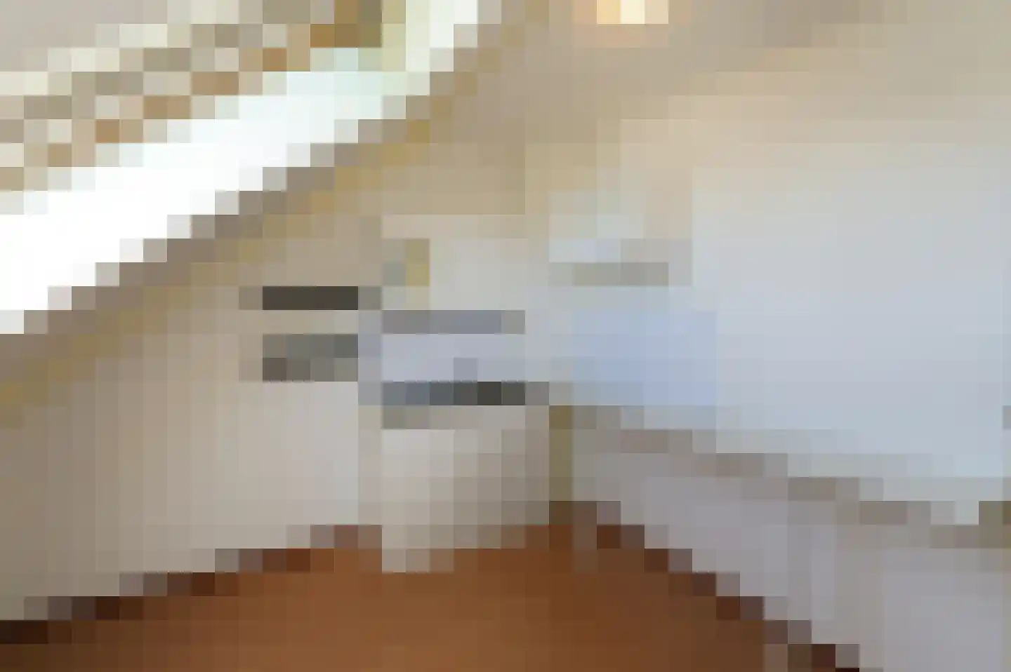 De Vroomedijk 69 Den Haag thumbnail 46