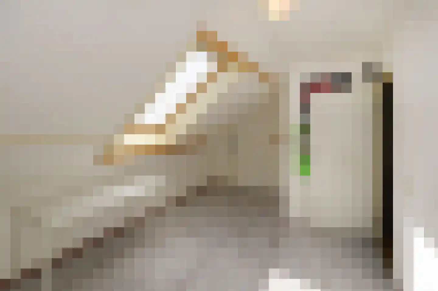 De Vroomedijk 69 Den Haag thumbnail 48