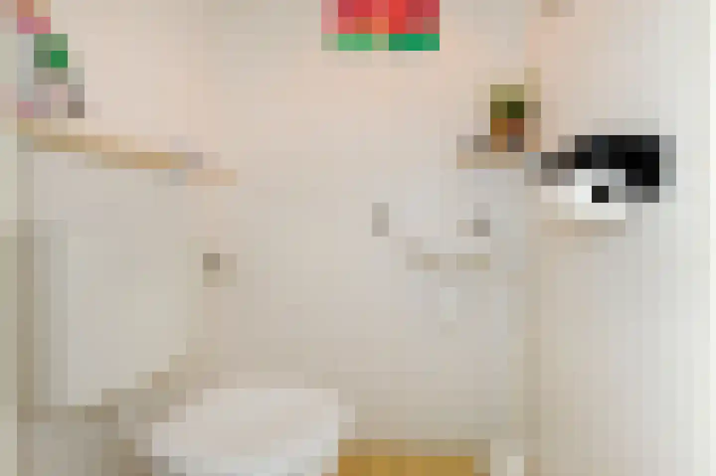 De Vroomedijk 69 Den Haag thumbnail 6