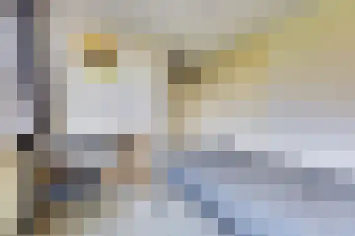 De Vroon 23 Heenvliet thumbnail 15