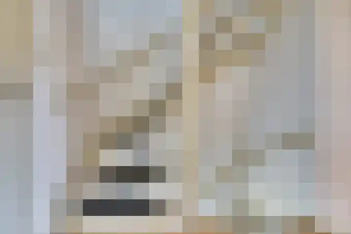 De Vroon 23 Heenvliet thumbnail 18