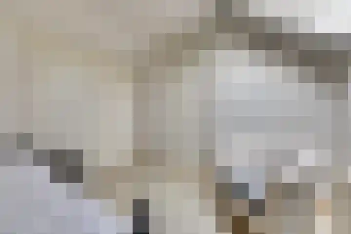 De Vroon 23 Heenvliet thumbnail 20