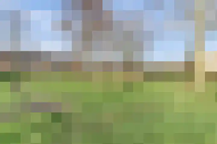 De Vroon 23 Heenvliet thumbnail 22