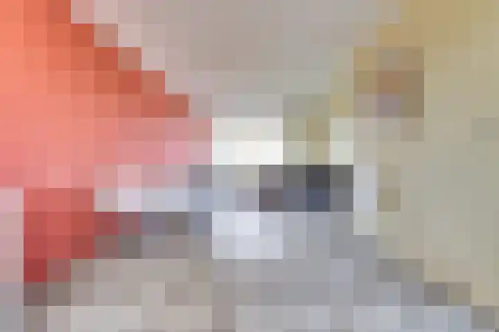 De Vroon 23 Heenvliet thumbnail 4