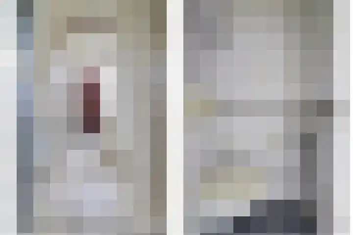 De Vroon 3 Heenvliet thumbnail 10