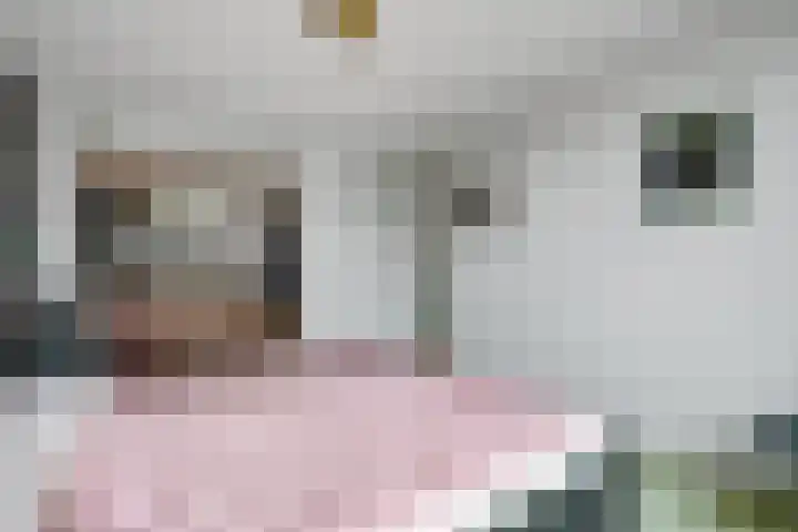 De Vroon 3 Heenvliet thumbnail 12
