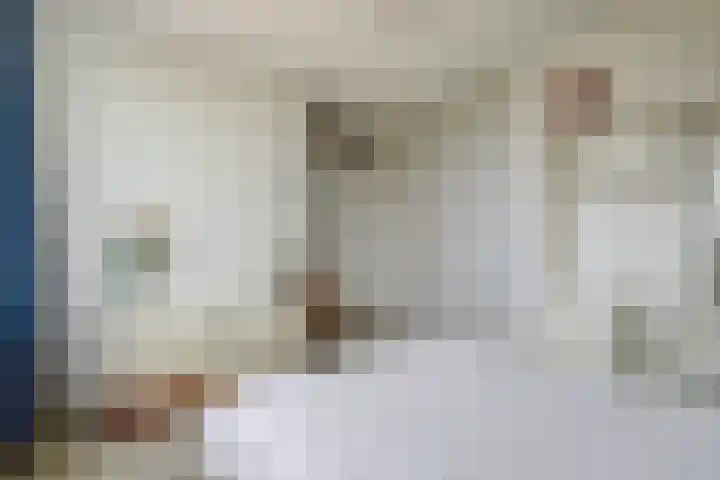 De Vroon 3 Heenvliet thumbnail 14