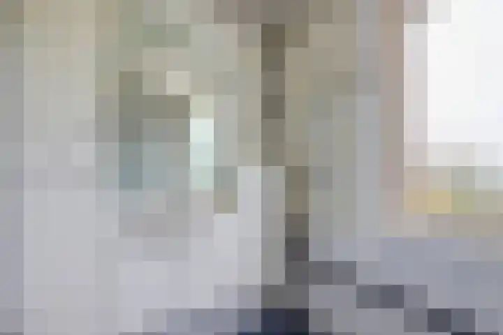De Vroon 3 Heenvliet thumbnail 17