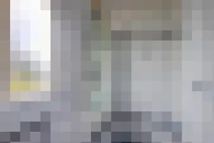 De Vroon 3 Heenvliet thumbnail 18