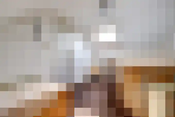 De Vroon 3 Heenvliet thumbnail 21