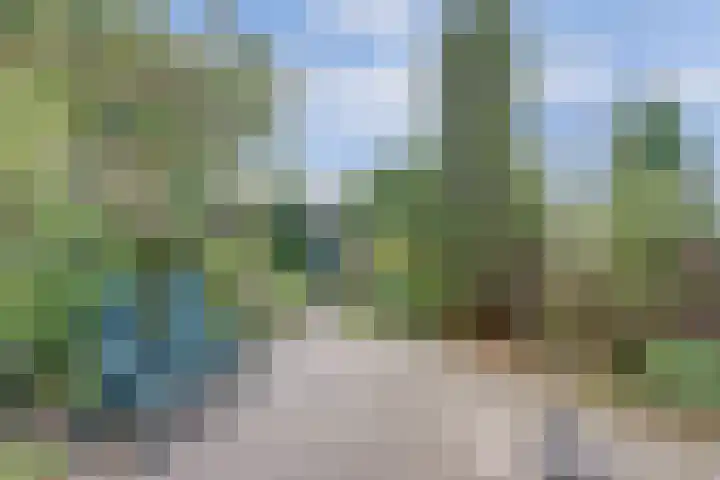 De Vroon 3 Heenvliet thumbnail 26