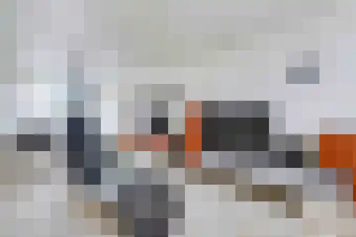 De Vroon 3 Heenvliet foto 3
