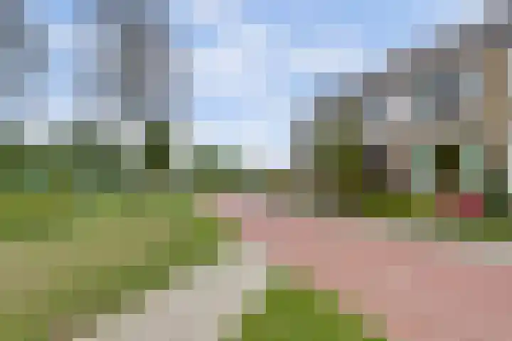 De Vroon 3 Heenvliet thumbnail 39
