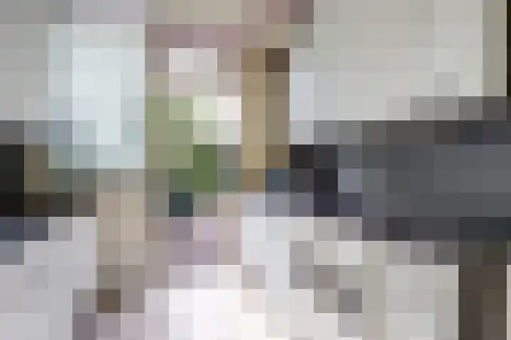 De Vroon 3 Heenvliet thumbnail 4
