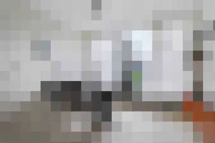 De Vroon 3 Heenvliet thumbnail 6