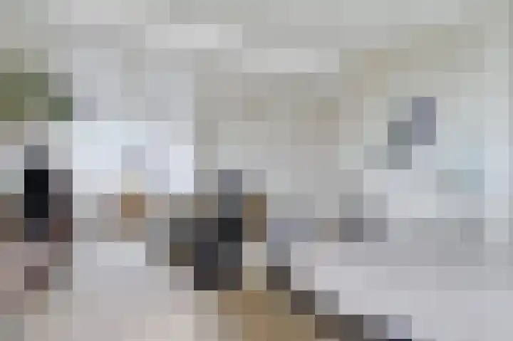De Vroon 3 Heenvliet thumbnail 7
