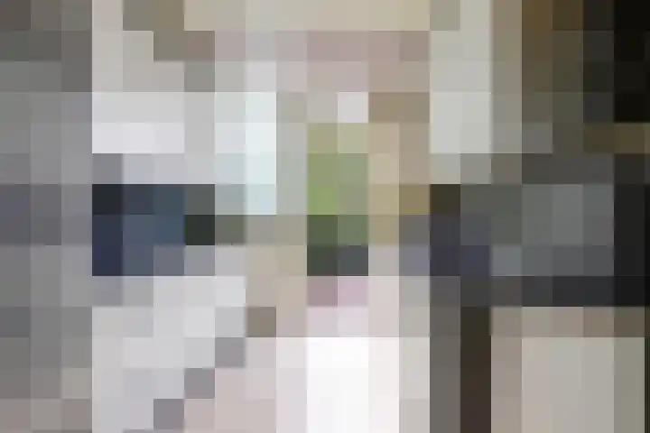 De Vroon 3 Heenvliet thumbnail 8