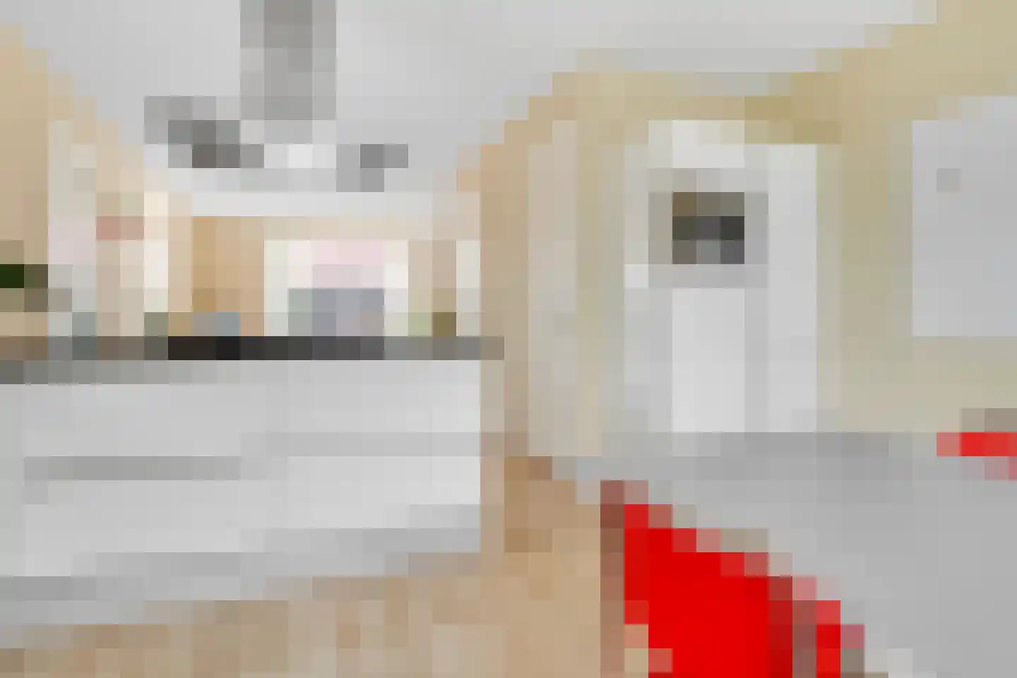 De Vroonhof 1 Werkhoven thumbnail 19
