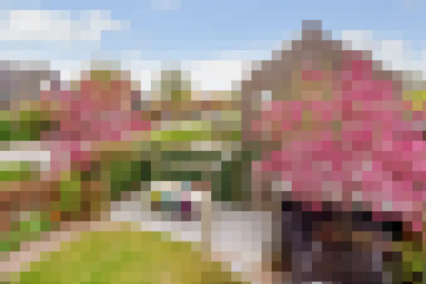 De Vroonhof 1 Werkhoven thumbnail 31