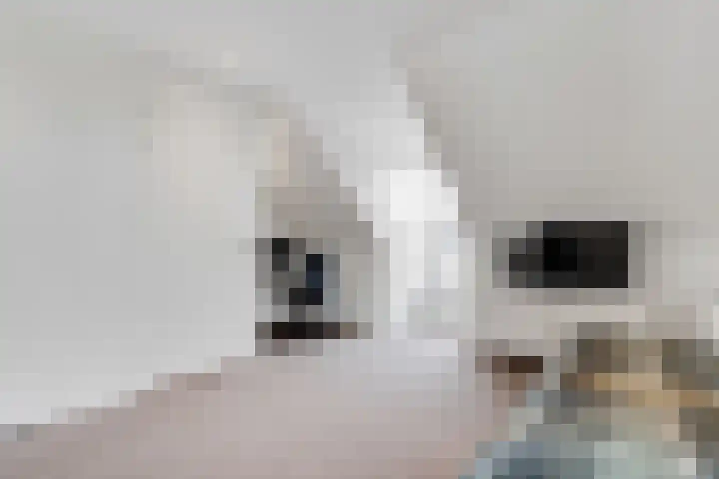 De Vroonhof 1 Werkhoven thumbnail 40