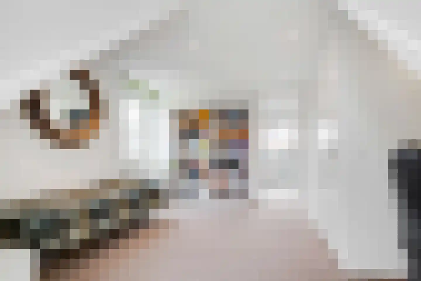 De Vroonhof 1 Werkhoven thumbnail 41