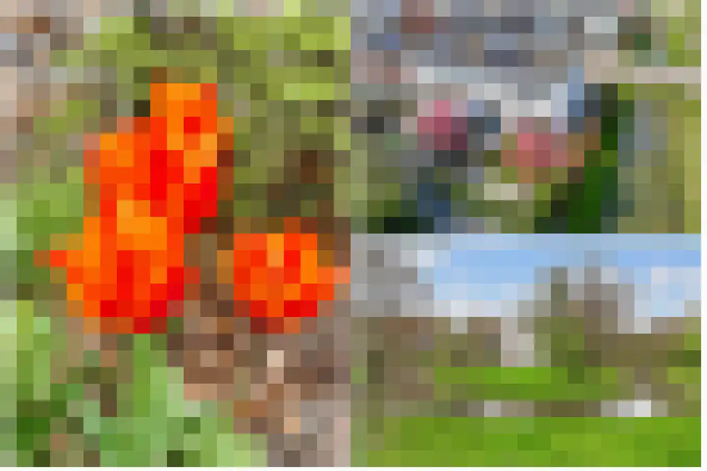De Vroonhof 1 Werkhoven thumbnail 53
