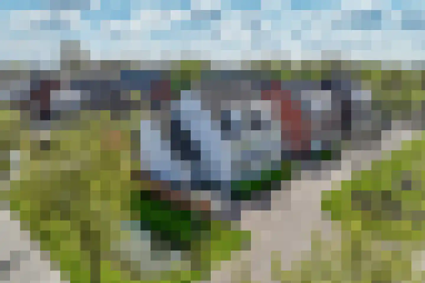 De Vroonhof 1 Werkhoven thumbnail 60