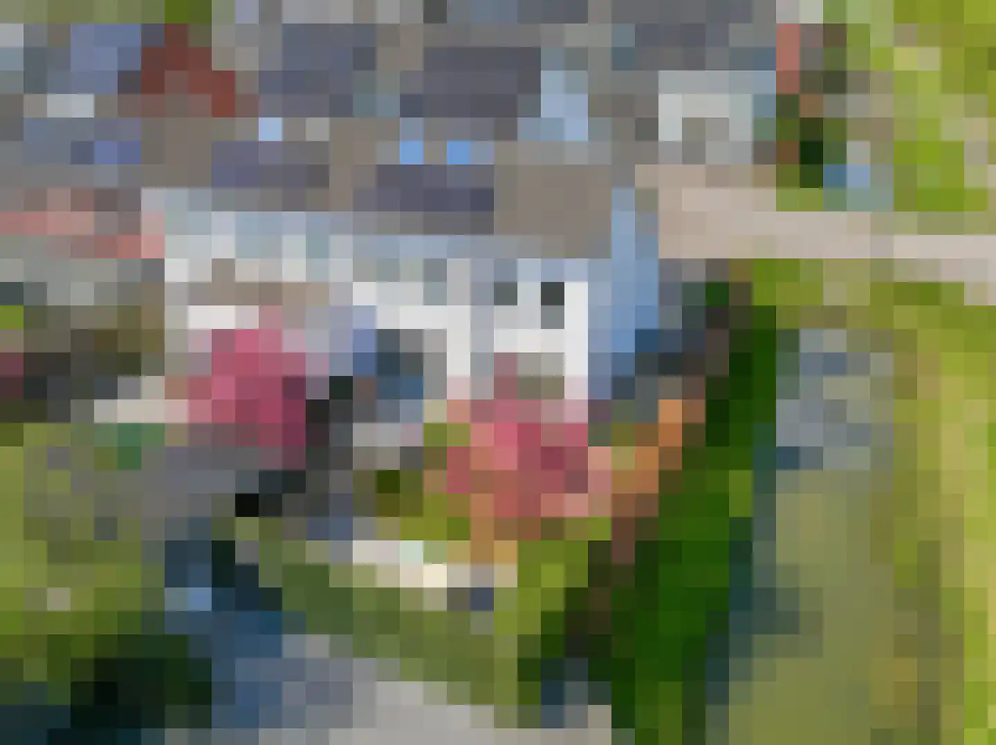 De Vroonhof 1 Werkhoven thumbnail 61