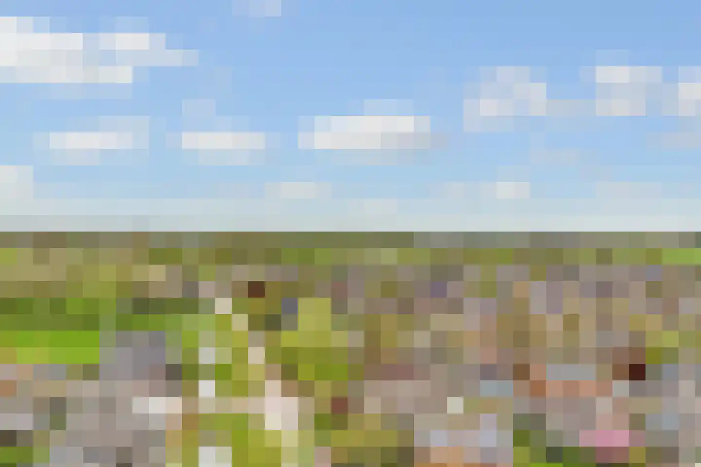 De Vroonhof 1 Werkhoven thumbnail 63