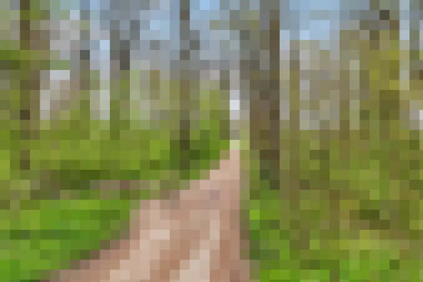 De Vroonhof 1 Werkhoven thumbnail 73