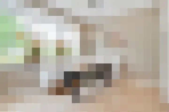De Vroonhof 3 Werkhoven thumbnail 23