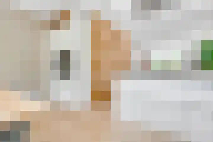 De Vroonhof 3 Werkhoven thumbnail 24