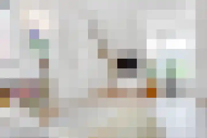 De Vroonhof 3 Werkhoven thumbnail 41