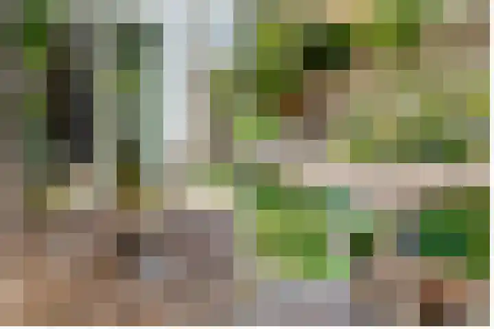De Vroonhof 3 Werkhoven thumbnail 44